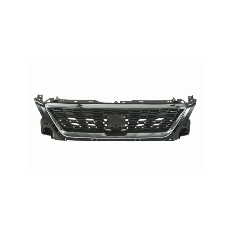 Grille de radiateur BLIC 6502-07-6623991P