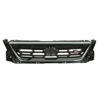 Grille de radiateur BLIC 6502-07-6623994P