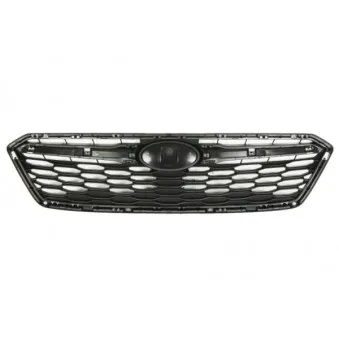 Grille de radiateur BLIC 6502-07-6747990P