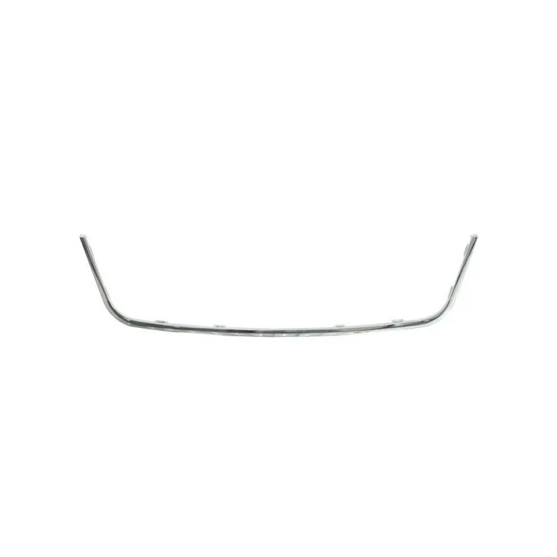 Baguette et bande protectrice, grille de radiateur BLIC 6502-07-7515999P