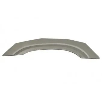 Doublure d'aile avant gauche BLIC 6504-03-1647331P