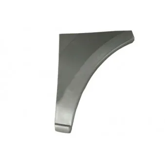 Doublure d'aile avant droit BLIC 6504-03-3486584P