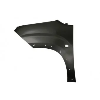 Aile avant gauche BLIC