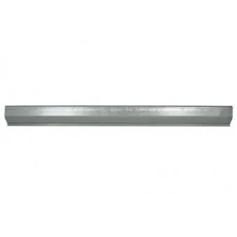 Marche-pied BLIC 6506-06-1103010P
