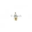 Bougie de préchauffage BOSCH 0 250 200 055 - Visuel 3
