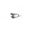 Capteur d'angle, vilebrequin BOSCH 0 261 210 300 - Visuel 3