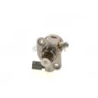 Pompe à haute pression BOSCH 0 261 520 572 - Visuel 2