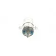 Pompe à carburant BOSCH 0 580 254 003 - Visuel 2