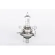 Ampoule BOSCH 1 987 301 002 - Visuel 1