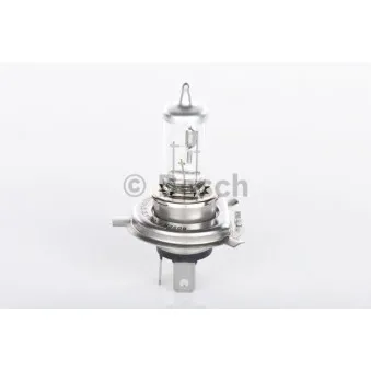 Ampoule BOSCH 1 987 301 002