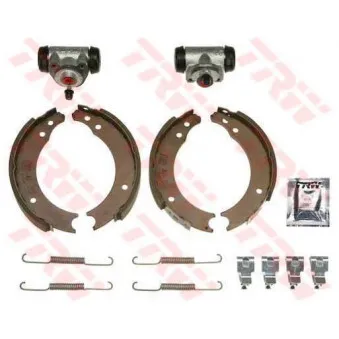 Kit de freins arrière (prémontés) TRW BK1001