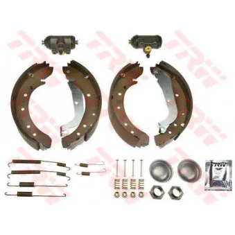 Kit de freins arrière (prémontés) TRW BK1147