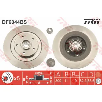 Jeu de 2 disques de frein arrière TRW DF6044BS
