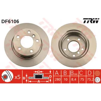 Jeu de 2 disques de frein arrière TRW DF6106