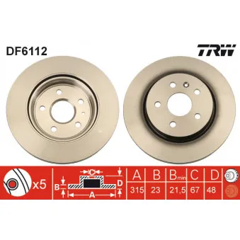 Jeu de 2 disques de frein arrière TRW DF6112