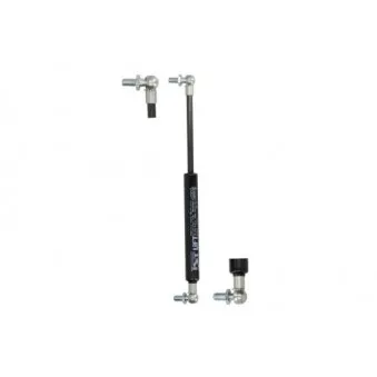 Ressort pneumatique, porte MAGNUM TECHNOLOGY MGS032MT