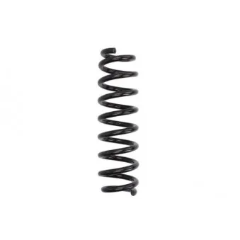 Ressort de suspension MAGNUM TECHNOLOGY