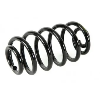 Ressort de suspension MAGNUM TECHNOLOGY SK058MT