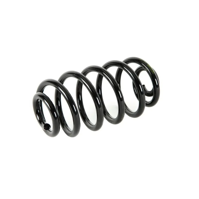 Ressort de suspension MAGNUM TECHNOLOGY SK058MT