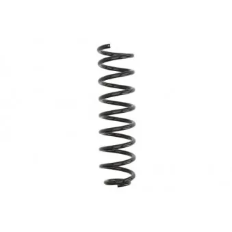 Ressort de suspension MAGNUM TECHNOLOGY