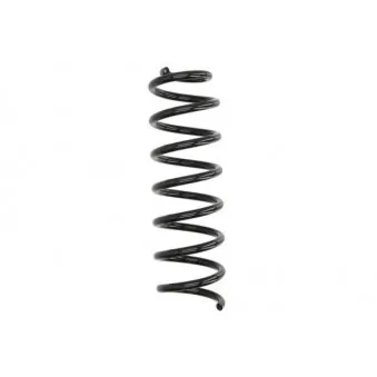 Ressort de suspension MAGNUM TECHNOLOGY