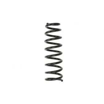 Ressort de suspension MAGNUM TECHNOLOGY