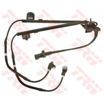 Capteur, vitesse de roue TRW GBS2008