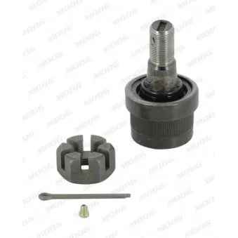 Rotule de suspension MOOG AMGK3161T