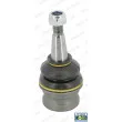 Rotule de suspension MOOG AU-BJ-7440 - Visuel 1