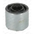 Silent bloc de suspension (train avant) MOOG BM-SB-0353 - Visuel 1