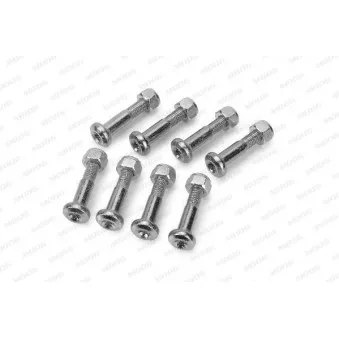 Kit de vis de serrage, suspension articulée/rotule de suspion MOOG FD-RK-3955