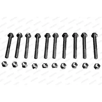 Kit de vis de serrage, suspension articulée/rotule de suspion MOOG FD-RK-5641