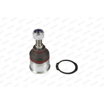 Rotule de suspension MOOG HO-BJ-10427