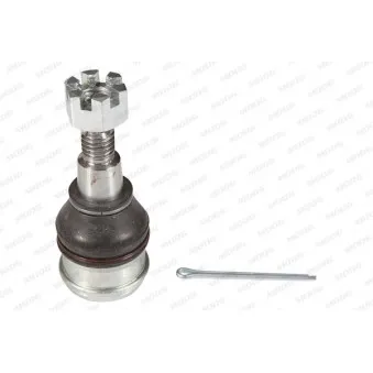 Rotule de suspension MOOG HO-BJ-10747