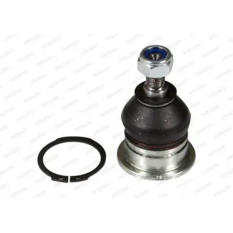 Rotule de suspension MOOG HO-BJ-10953