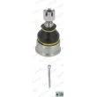 Rotule de suspension MOOG HO-BJ-6619 - Visuel 1