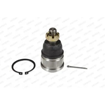 Rotule de suspension MOOG MD-BJ-104184