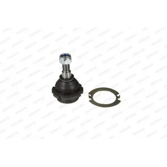 Rotule de suspension MOOG PE-BJ-3195
