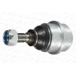 Rotule de suspension MOOG RO-BJ-0773 - Visuel 2