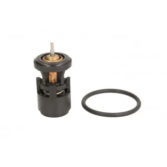 Thermostat d'eau THERMOTEC D2A005TT
