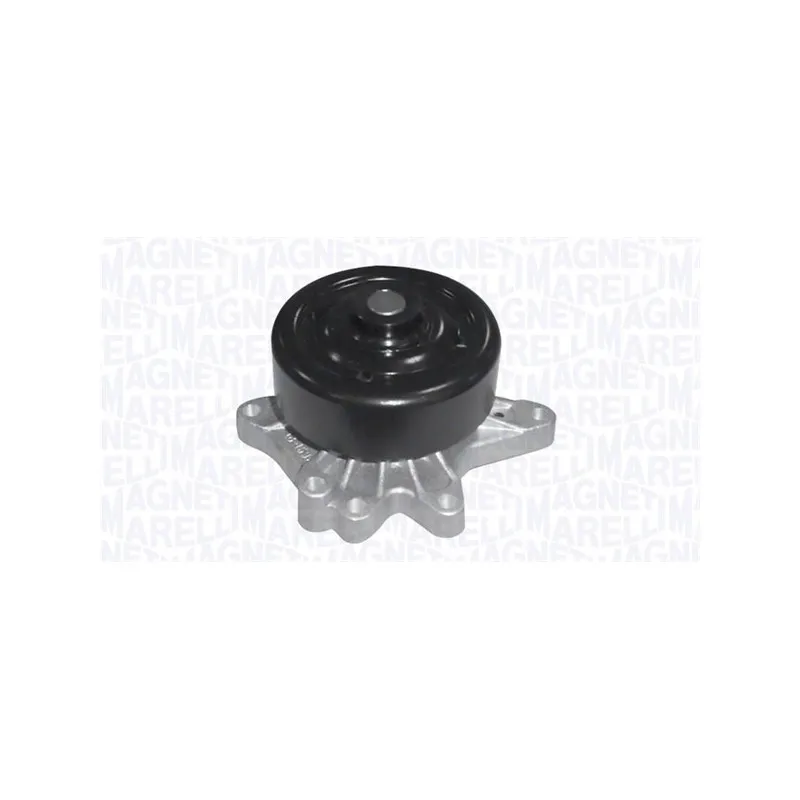Pompe à eau MAGNETI MARELLI 352316171094
