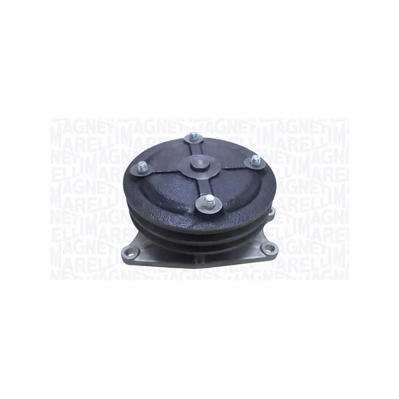 Pompe à eau MAGNETI MARELLI 352316171281