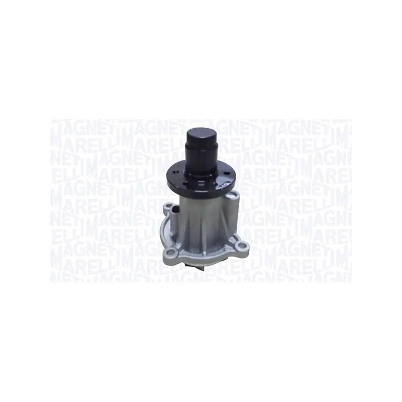 Pompe à eau MAGNETI MARELLI 352316171312