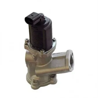 Vanne EGR MAGNETI MARELLI 571822112002