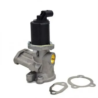 Vanne EGR MAGNETI MARELLI 571822112003