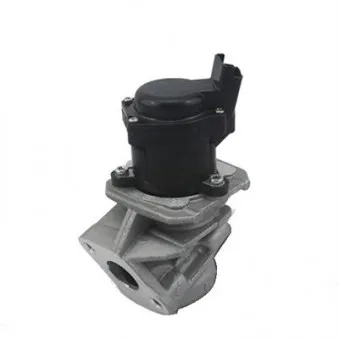Vanne EGR MAGNETI MARELLI 571822112029