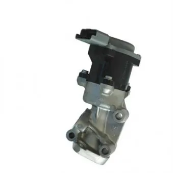 Vanne EGR MAGNETI MARELLI