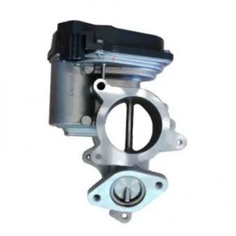 Vanne EGR MAGNETI MARELLI 571822112037