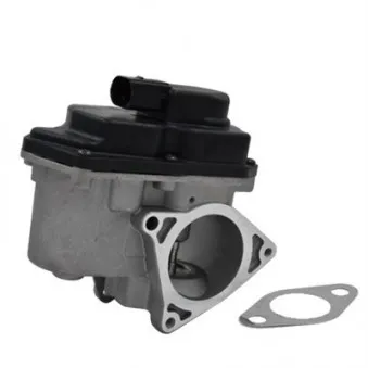 Vanne EGR MAGNETI MARELLI 571822112042