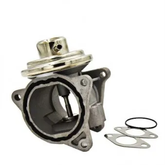 Vanne EGR MAGNETI MARELLI 571822112045